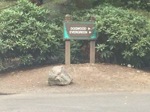 Dogwood Parking sign