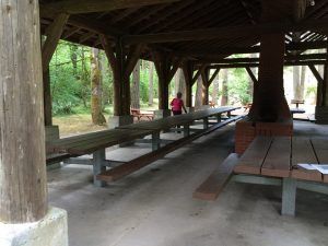 Dogwood shelter inside