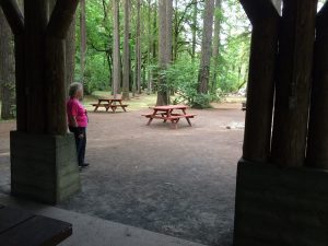 Dogwood Shelter - outside
